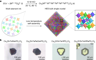 High Entropy Halide Perovskite Single Crystals Stabilized By Mild