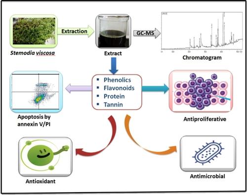 Phytochemical Profiling, Antimicrobial, Antiproliferative And Apoptotic ...