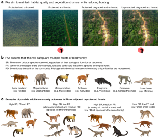 Landscape-scale Benefits Of Protected Areas For Tropical Biodiversity ...