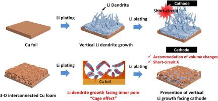 Li-Dendrite Cage Electrode With 3-D Interconnected Pores For Anode-Free ...