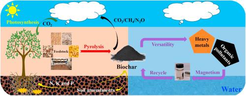 Recent Studies On The Comprehensive Application Of Biochar In Multiple ...