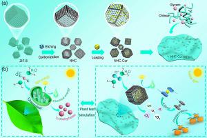 ZnO/C-mediated k-carrageenan based pseudo-pasteurization films for