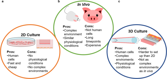 A mutation-induced drug resistance database (MdrDB)