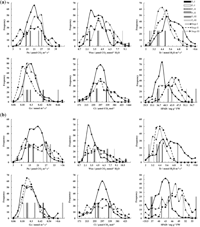 Dynamic Qtl Mapping Revealed Primarily The Genetic Structure Of Photosynthetic Traits In Castor 2660