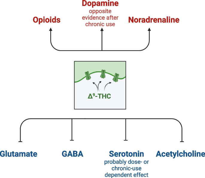 Clinical, Cognitive, And Neurobiological Correlates Of Impaired Timing ...