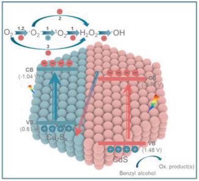 Boosted Photoreforming of Plastic Waste via Defect-Rich NiPS3 Nanosheets