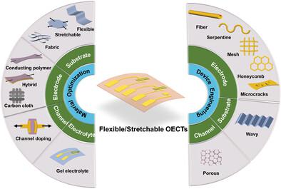 Flexible And Stretchable Organic Electrochemical Transistors For ...