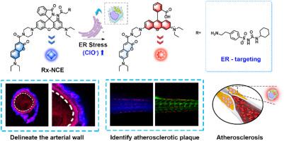 Hypochlorite Activatable Ratiometric Fluorescent Probe Based On ...