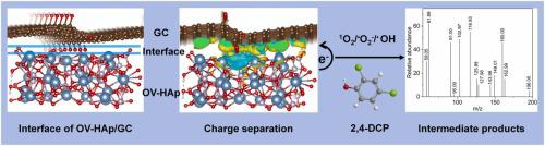 Earth-abundant Insulator Hydroxyapatite-based Composite For Full ...