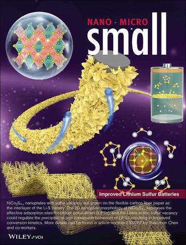 Defect Engineered Sulfur Vacancy Modified Nico S X Nanosheet Anchoring