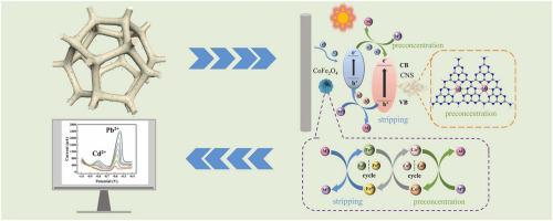 Photo-assisted “co-movement Catalysis”: CoFe2O4/CNS Heterojunction ...