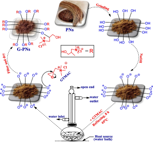 A highly efficient and green adsorbent for anionic dyes synthesized ...