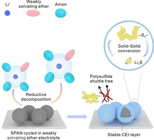 reversible-solid-solid-conversion-of-sulfurized-polyacrylonitrile