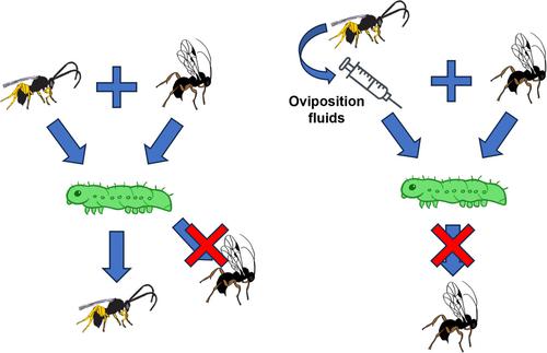 Ecological Entomology X Mol