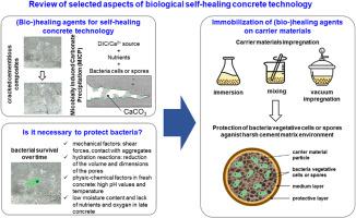 Immobilization Of (bio-)healing Agents For Self-healing Concrete ...