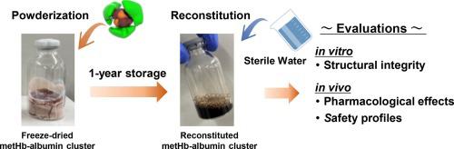 Pharmaceutical stability of methemoglobin-albumin cluster as an