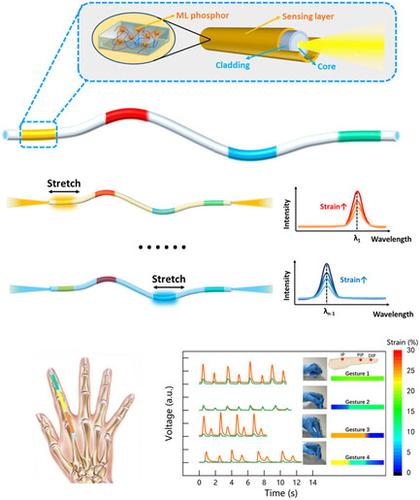 Distributed Strain Sensor Based On Self-Powered, Stretchable ...