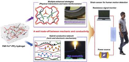 Mechanical Robust And Highly Conductive Composite Hydrogel Reinforced ...