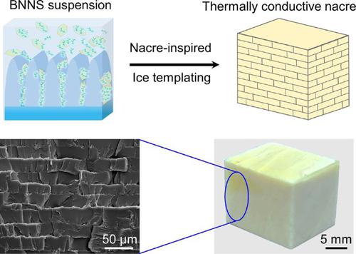 Bridging functional nanocomposites to robust macroscale devices