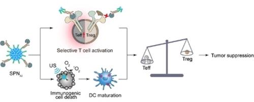 Sonodynamic Cytokine Nanocomplexes With Specific Stimulation Towards ...