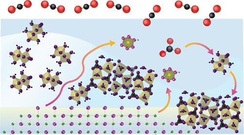 Magnesium Impurities Decide the Structure of Calcium Carbonate Hemihydrate