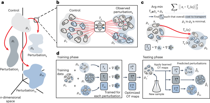 Learning Single-cell Perturbation Responses Using Neural Optimal ...