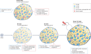 Stem cell-derived islet therapy: is this the end of the beginning?