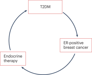 乳腺癌幸存者的糖尿病：内分泌治疗的代谢影响,Nature Reviews 