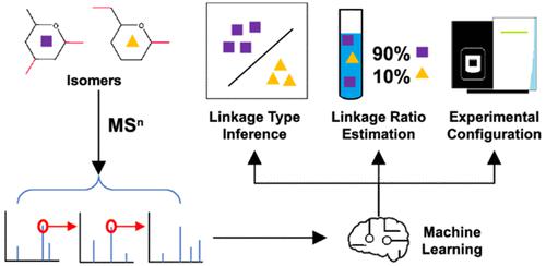 Toward Automatic Inference Of Glycan Linkages Using MSn And Machine ...