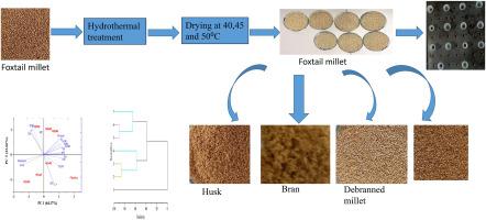 Combined effect of hydrothermal treatments and drying temperature