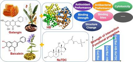 Effect of the bile salt surfactant sodium taurodeoxycholate on the