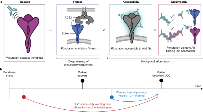 Learning From Prepandemic Data To Forecast Viral Escape,Nature - X-MOL