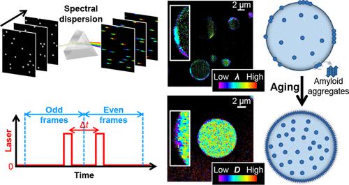 Multidimensional Super-Resolution Microscopy Unveils Nanoscale