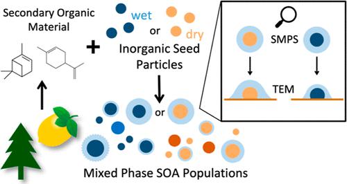 Morphology of Organic Inorganic Aerosol with Varying Seed Particle