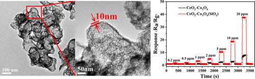 Activation of LXRα attenuates 2-Ethylhexyl diphenyl phosphate