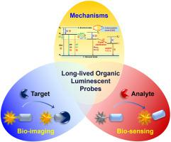 Hyperglycemia in Diabetic Skin Infections Promotes Staphylococcus aureus  Virulence Factor Aureolysin: Visualization by Molecular Imaging