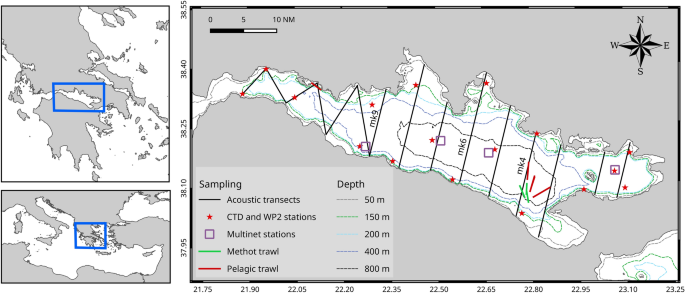 Host biology, ecology and the environment influence microbial biomass and  diversity in 101 marine fish species