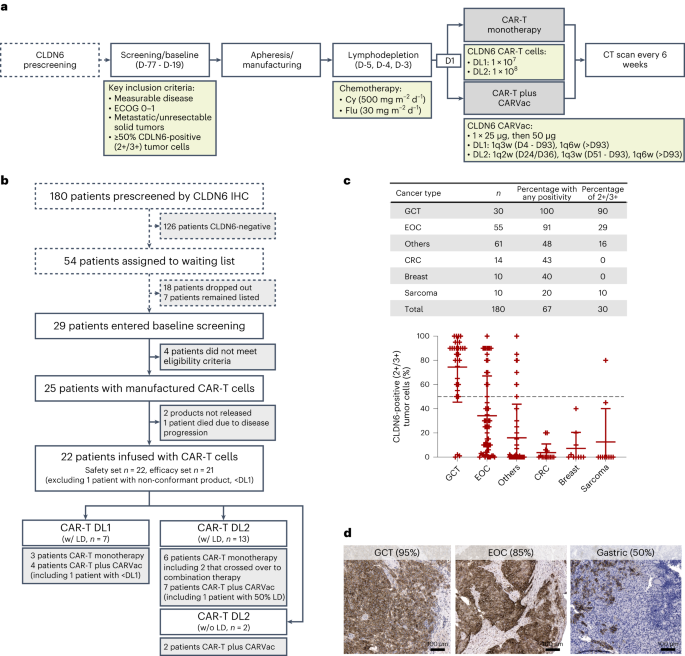 CLDN6-specific CAR-T cells plus amplifying RNA vaccine in relapsed