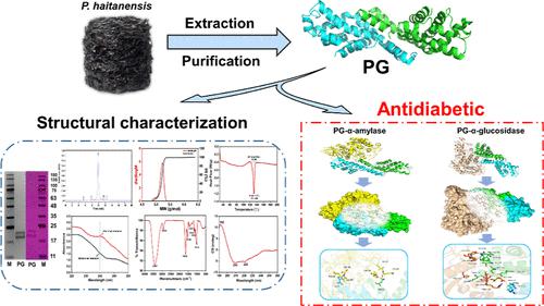 Structure And Antidiabetic Activity Of A Glycoprotein From Porphyra ...