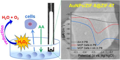 Assembling Of Gold Nanoparticles In Coreshell Zeolite Imidazolate Framework Crystals For In 