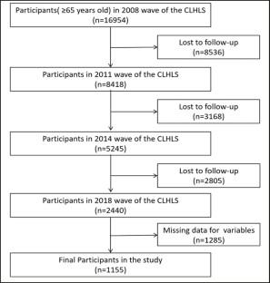 Number of teeth and denture use are associated with frailty among