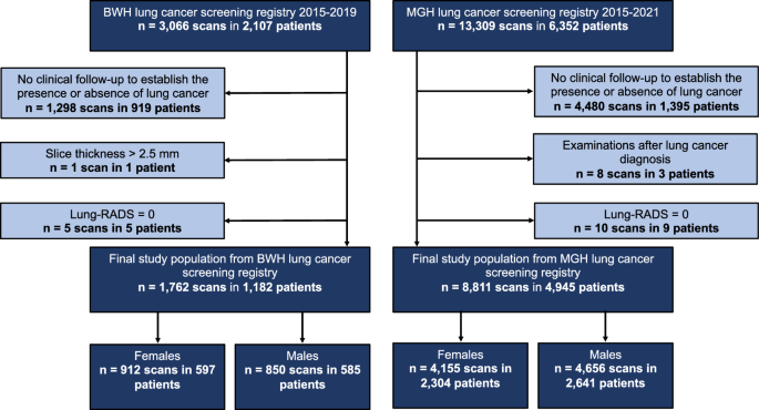 Role Of Sex In Lung Cancer Risk Prediction Based On Single Low Dose Chest Computed Tomography 2501