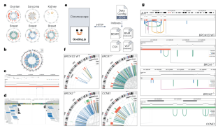 Chromoscope interactive multiscale visualization for structural