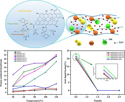 Enhanced Proton Conductivity Of SPEEK Membranes By Constructing ...