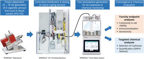 Inhalation toxicity of thermal transformation products formed from