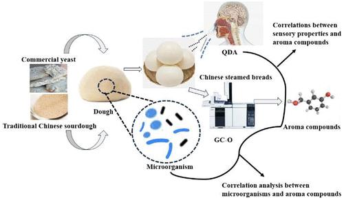 Impact Of Leavening Agents On Flavor Profiles And Microbial Communities ...