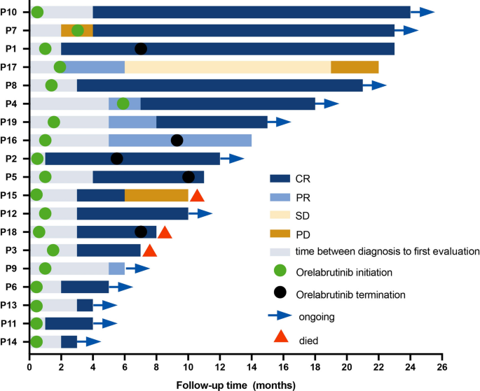 Efficacy And Safety Of Orelabrutinib-based Regimens In Diffuse Large B ...