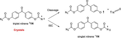 The reaction of N2O with the Criegee intermediate: A theoretical