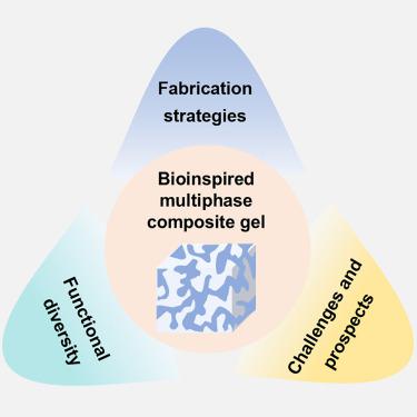 Bioinspired multiphase composite gel materials: From controlled