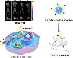 Sodium butyrate alleviates R97-116 peptide-induced myasthenia